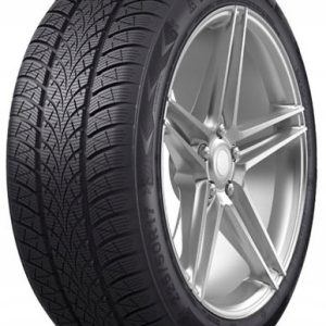 2 x Triangle WinterX TW401 195/45R16 84 H 3PMSF opona zimowa